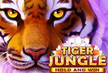 RTP quickspin Tropicana77